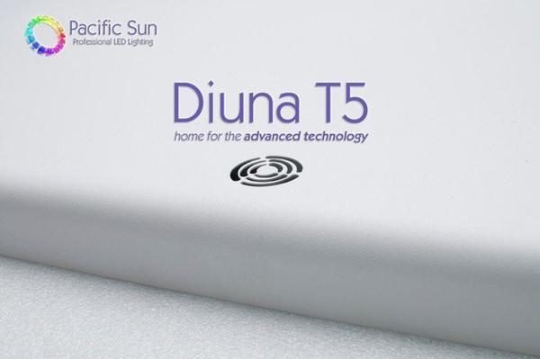 Pacific Sun - Diuna 8x54W (540x1220mm)