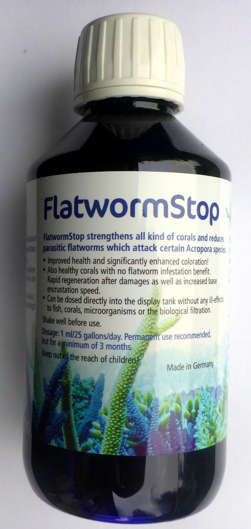 Korallenzucht Flatworm Stop