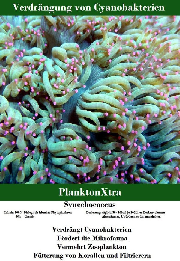 PlanktonXtra - Synechococcus (gegen Cyanos)1Liter