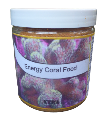 Xtra Energy Coral Food